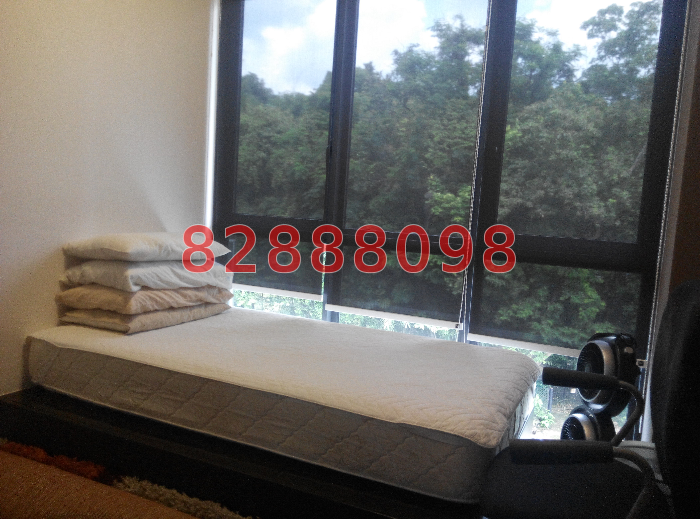 The Foresta @ Mount Faber (D4), Condominium #23557762